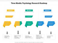 Three months psychology research roadmap