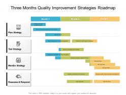 Three months quality improvement strategies roadmap