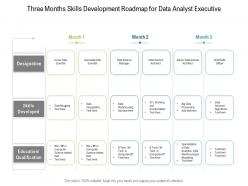 Three Months Skills Development Roadmap For Data Analyst Executive