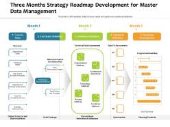 Three months strategy roadmap development for master data management