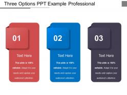 Three options ppt example professional