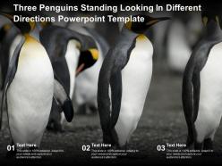 Three penguins standing looking in different directions powerpoint template