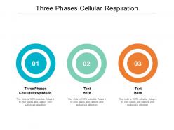 Three phases cellular respiration ppt powerpoint presentation professional example cpb