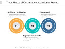 Three phases of organization assimilating process