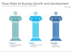 Three pillars for business growth and development