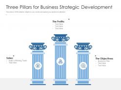 Three pillars for business strategic development