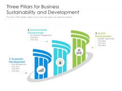 Three pillars for business sustainability and development