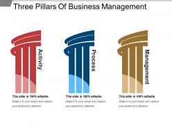 Three pillars of business management powerpoint layout
