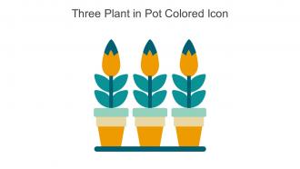 Three Plant In Pot Colored Icon In Powerpoint Pptx Png And Editable Eps Format
