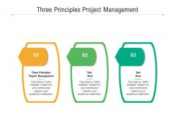 Three principles project management ppt powerpoint presentation model slide cpb