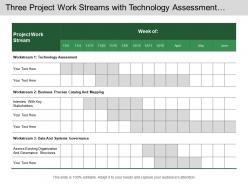 Three project work streams with technology assessment and business process mapping