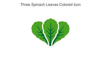 Three Spinach Leaves Colored Icon In Powerpoint Pptx Png And Editable Eps Format