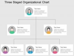 Three staged organizational chart flat powerpoint design