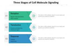 Three stages of cell molecule signaling