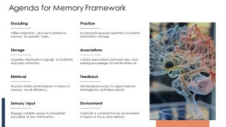 Three Stages Of Memory Encoding Storage Retrieval PPT Presentation AT Appealing