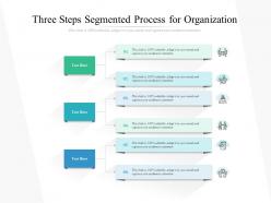 Three steps segmented process for organization