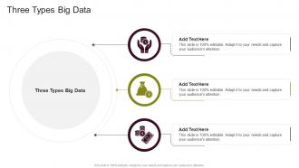 Three Types Big Data In Powerpoint And Google Slides Cpb