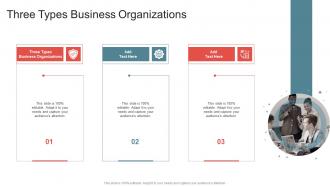 Three Types Business Organizations In Powerpoint And Google Slides Cpb