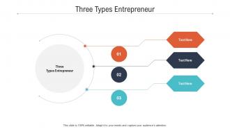 Three types entrepreneur ppt powerpoint presentation inspiration ideas cpb