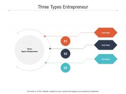 Three types entrepreneur ppt powerpoint presentation portfolio good cpb