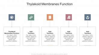Thylakoid Membranes Function In Powerpoint And Google Slides Cpb