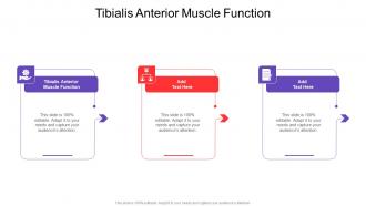 Tibialis Anterior Muscle Function In Powerpoint And Google Slides Cpb