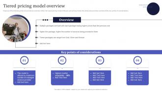 Tiered Pricing Model Overview Information Technology MSPS