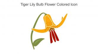 Tiger Lily Bulb Flower Colored Icon In Powerpoint Pptx Png And Editable Eps Format