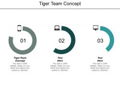 Tiger team concept ppt powerpoint presentation outline portrait cpb