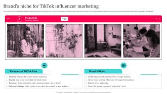 Tiktok Influencer Marketing Brands Niche For Tiktok Influencer Marketing Strategy SS V