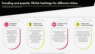 Tiktok Marketing Campaign Trending And Popular Tiktok Hashtags For Different Niches MKT SS V