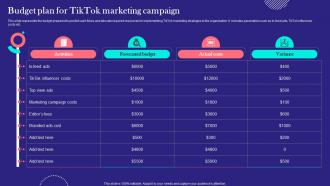 TikTok Marketing Techniques Budget Plan For TikTok Marketing Campaign MKT SS V