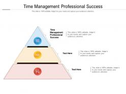 Time management professional success ppt powerpoint presentation infographics cpb