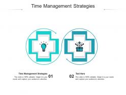 Time management strategies ppt powerpoint presentation ideas elements cpb