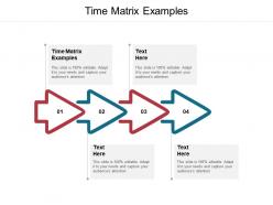 Time matrix examples ppt powerpoint presentation inspiration tips cpb