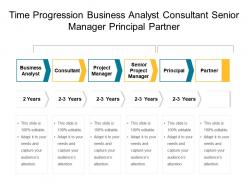 Time progression business analyst consultant senior manager principal partner