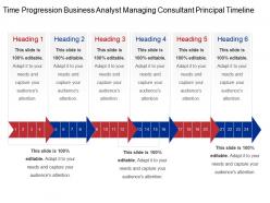 Time Progression Business Analyst Managing Consultant Principal Timeline