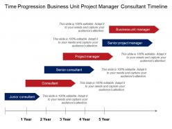 Time Progression Business Unit Project Manager Consultant Timeline