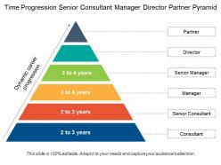 Time progression senior consultant manager director partner pyramid