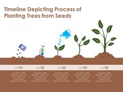 Timeline Depicting Process Of Planting Trees From Seeds