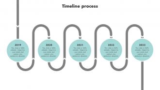 Timeline Process Executing Brand Executing Brand Promotion Branding SS V