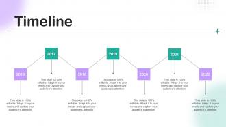 Timeline Sample Brand Extension Positioning Example