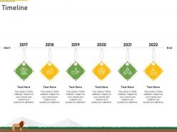 Timeline Strategies Overcome Challenge Declining Financials Zoo Ppt Outline Maker