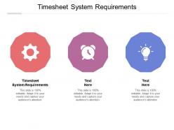 Timesheet system requirements ppt powerpoint presentation gallery example cpb