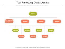 Tool protecting digital assets ppt powerpoint presentation slides ideas cpb