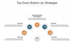 Top down bottom up strategies ppt powerpoint presentation infographic template gridlines cpb
