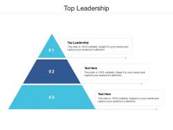 Top leadership ppt powerpoint presentation infographic template show cpb
