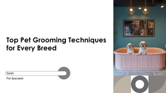 Top Pet Grooming Techniques For Every Breed PPT Information AT