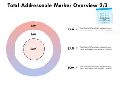 Total Addressable Market Overview Strategy Ppt Powerpoint Presentation Ideas Graphics