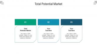 Total potential market ppt powerpoint presentation styles pictures cpb